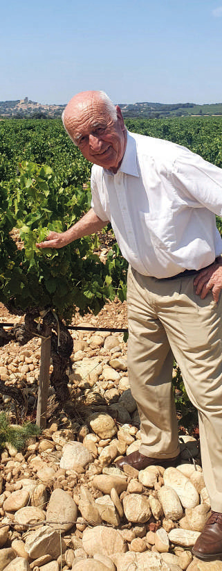A grower among the vines and rounded stones of the vineyard